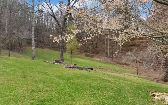 685 Barefoot Road, Hiawassee GA 30546 - Photo