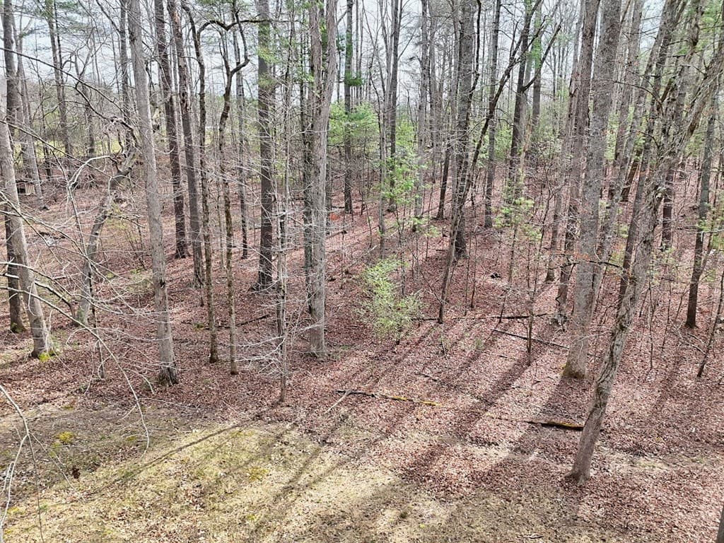 91 Margie Lane, Blairsville GA 30512 - Photo