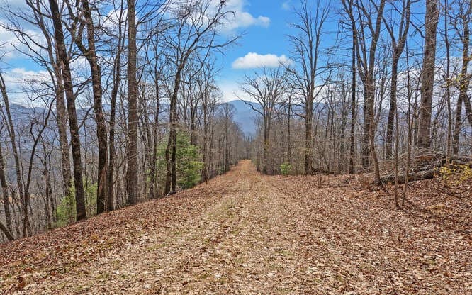 279 Collins Creek Road, Hiawassee GA 30546 - Photo