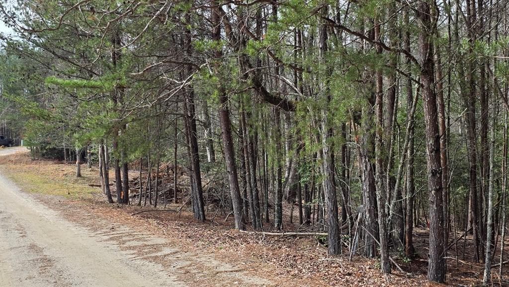 Lot 24 Pine Log Circle, Warne NC 28909 - Photo