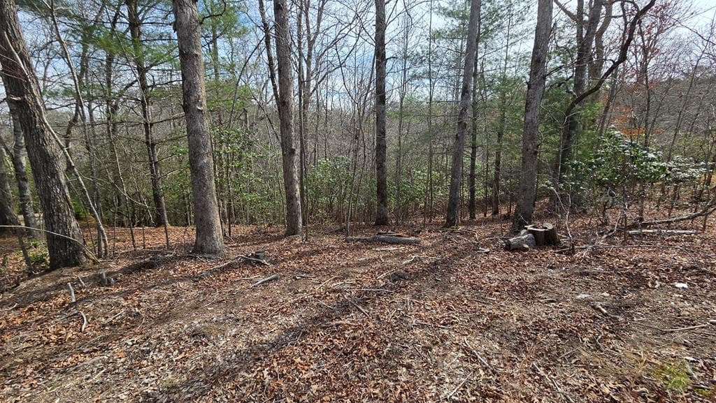 Lot 24 Pine Log Circle, Warne NC 28909 - Photo