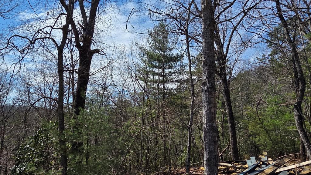 Lot 24 Pine Log Circle, Warne NC 28909 - Photo