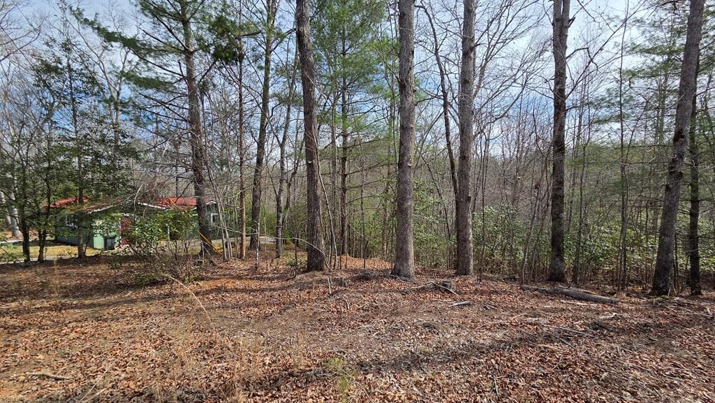 Lot 24 Pine Log Circle, Warne NC 28909 - Photo