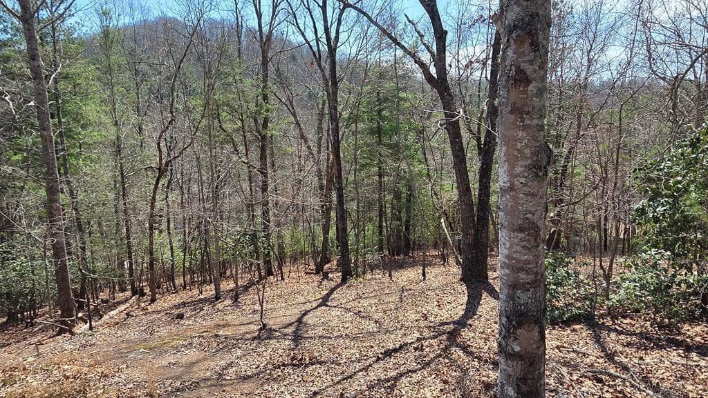 Lot 24 Pine Log Circle, Warne NC 28909 - Primary photo
