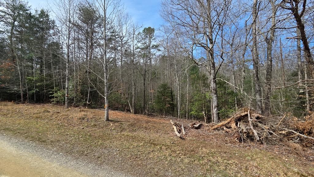 Lot 24 Pine Log Circle, Warne NC 28909 - Photo