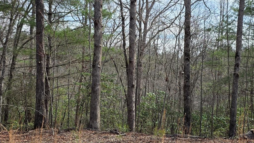 Lot 24 Pine Log Circle, Warne NC 28909 - Photo