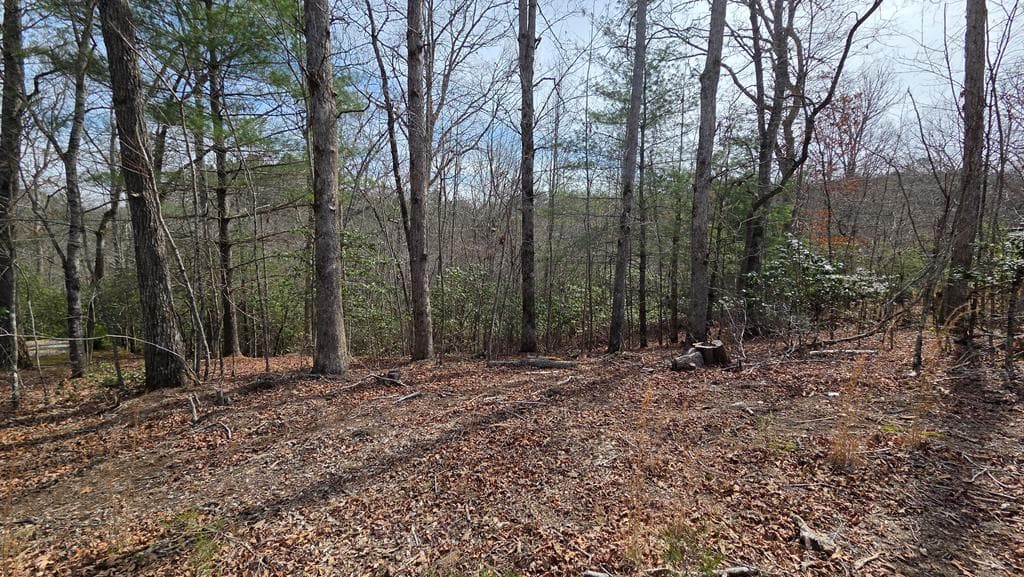 Lot 24 Pine Log Circle, Warne NC 28909 - Photo