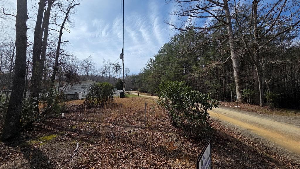 Lot 24 Pine Log Circle, Warne NC 28909 - Photo