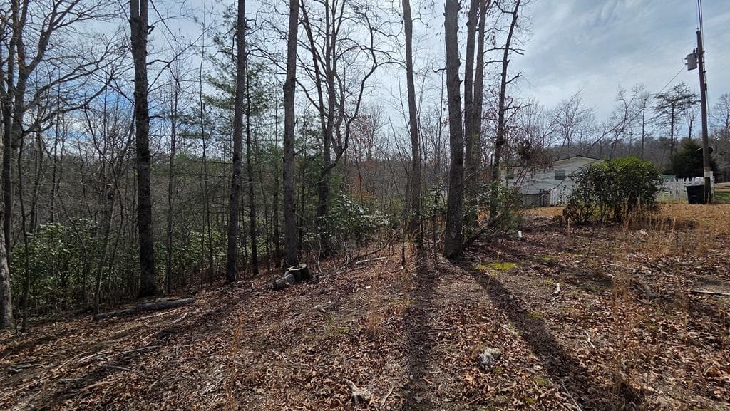 Lot 24 Pine Log Circle, Warne NC 28909 - Photo