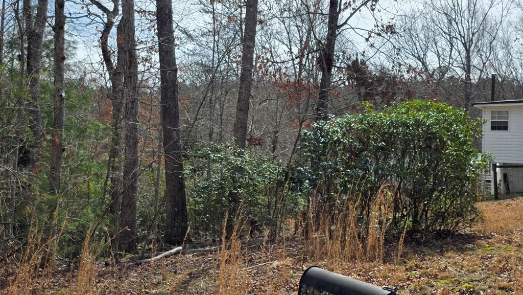 Lot 24 Pine Log Circle, Warne NC 28909 - Photo