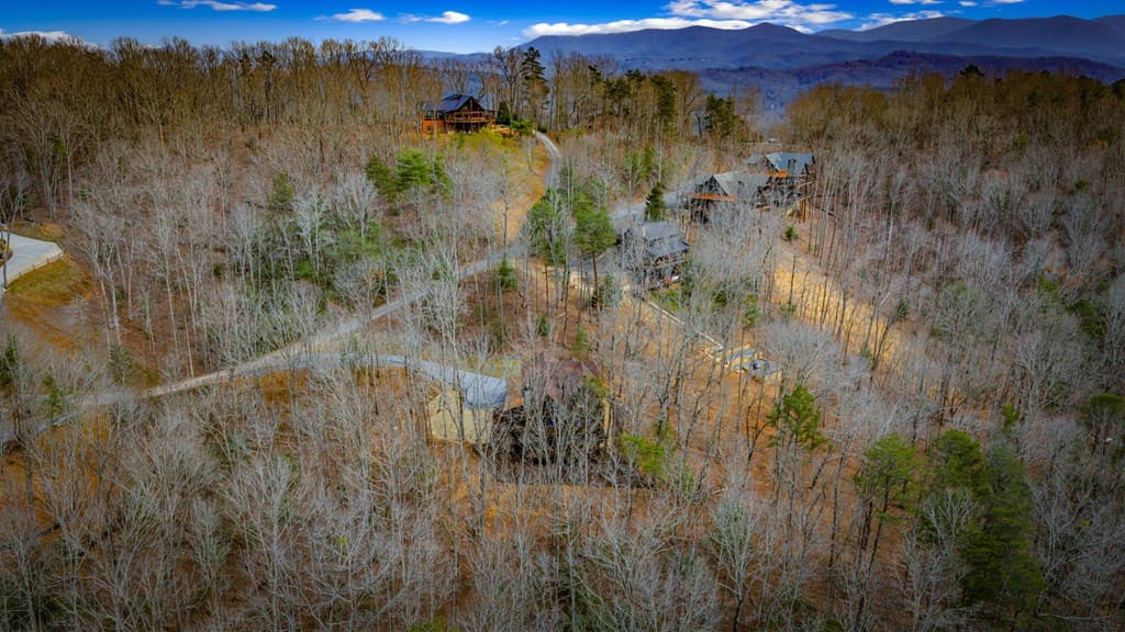 895 Price Road, Blue Ridge GA 30513 - Photo