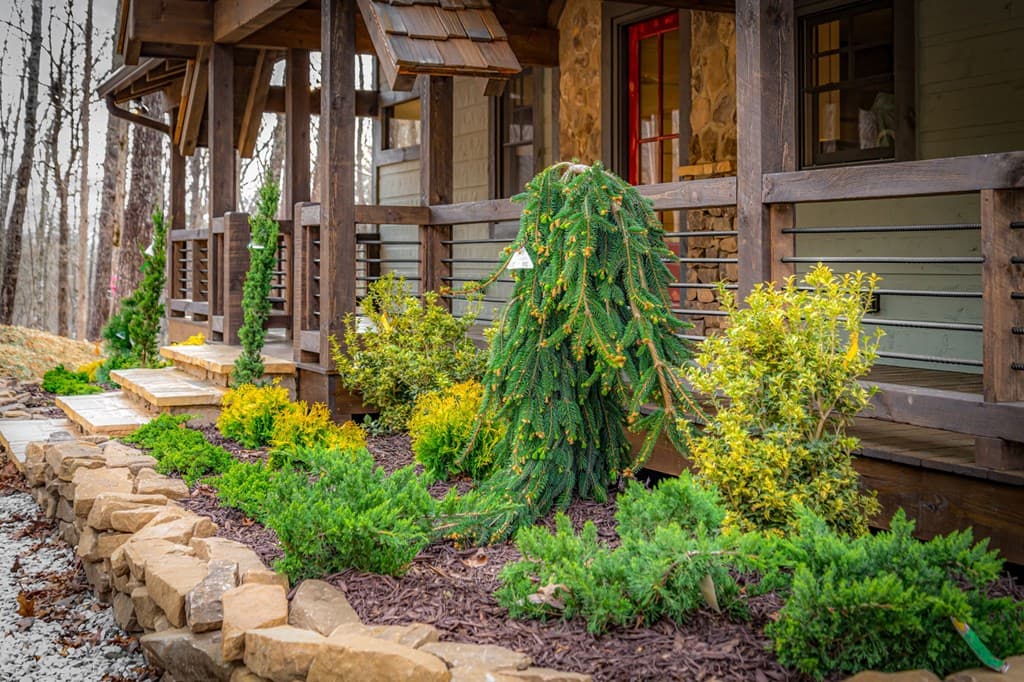 895 Price Road, Blue Ridge GA 30513 - Photo