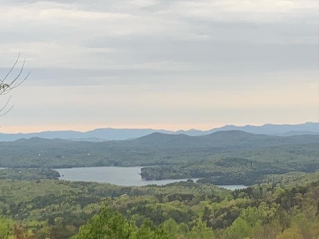 304 Ridge Circle, Blue Ridge GA 30513 - Photo