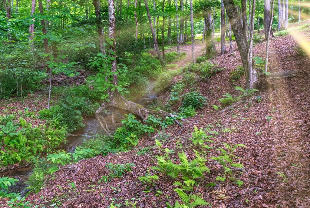 1220 Burger Road, Murphy NC 28906 - Photo