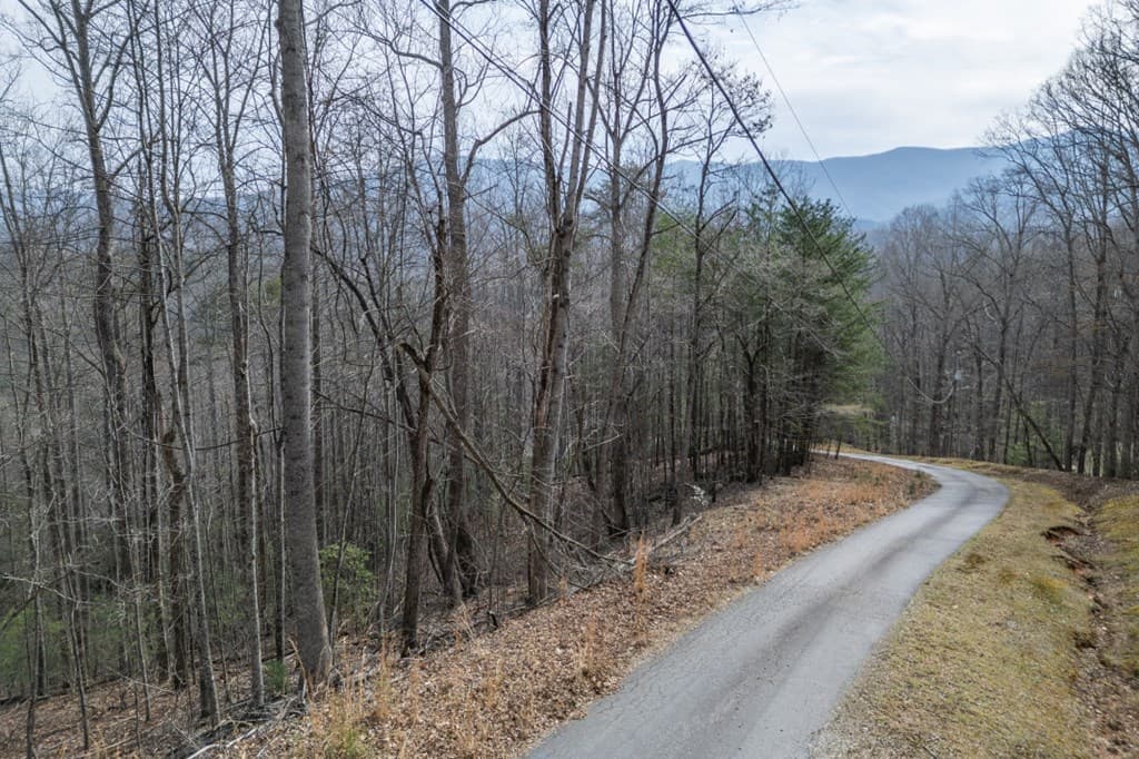 Lot 19A Stephens Road, Blairsville GA 30512 - Photo