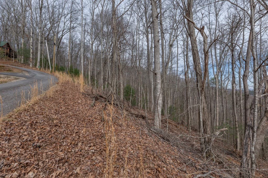 Lot 19A Stephens Road, Blairsville GA 30512 - Photo