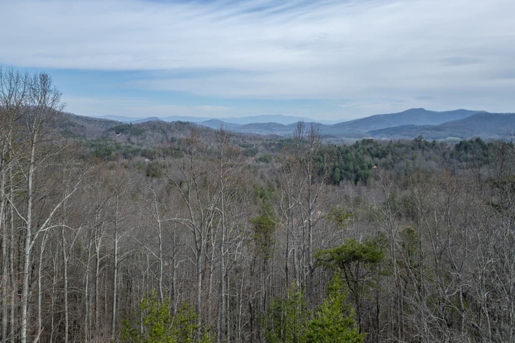 Lot 19A Stephens Road, Blairsville GA 30512 - Photo