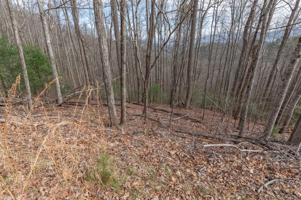 Lot 19A Stephens Road, Blairsville GA 30512 - Photo