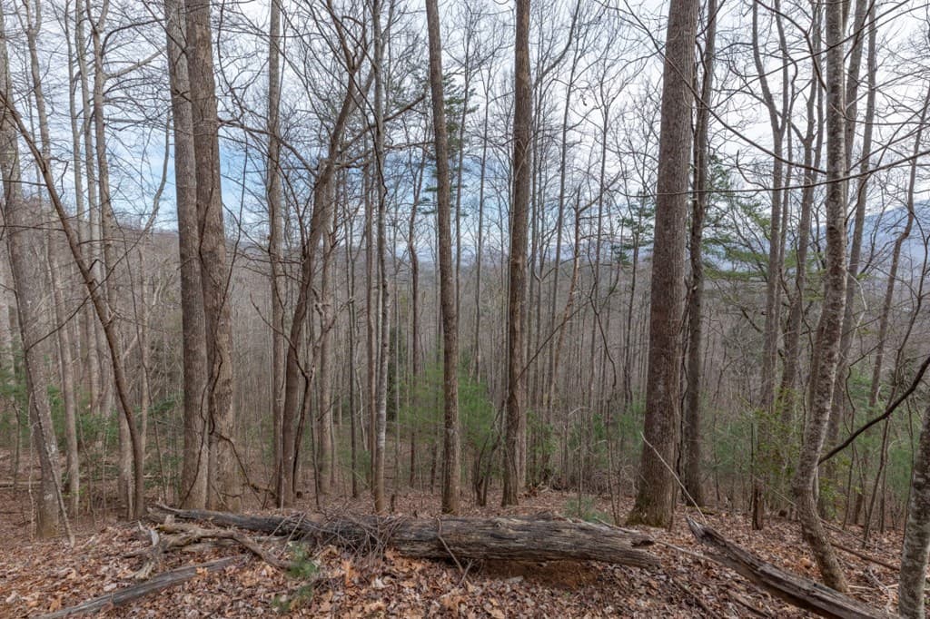 Lot 19A Stephens Road, Blairsville GA 30512 - Photo