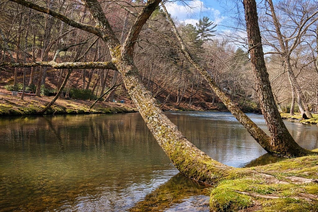 105 Riveredge Drive, Ellijay GA 30536 - Photo