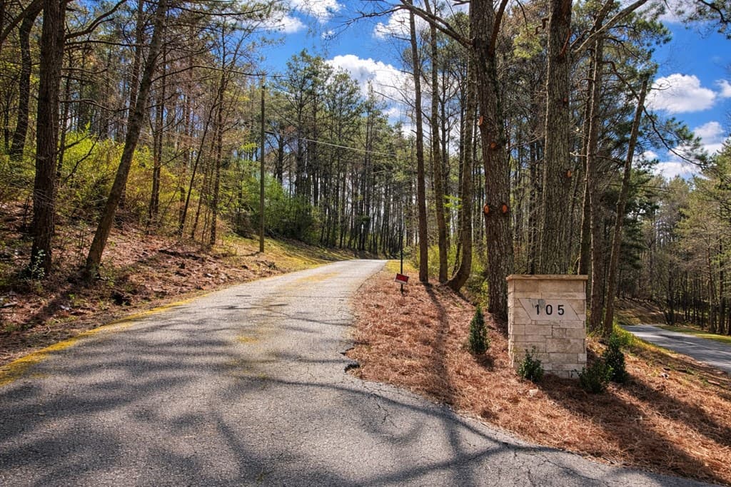 105 Riveredge Drive, Ellijay GA 30536 - Photo