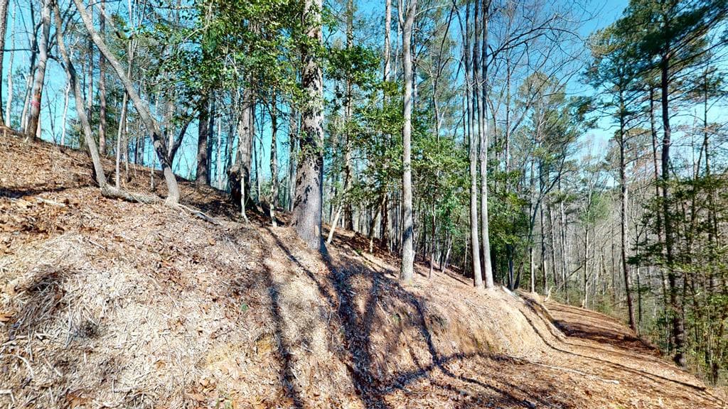 0 Red Oak Trail, Ellijay GA 30540 - Photo