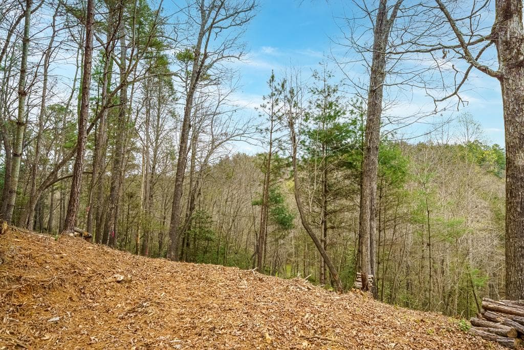 0 Red Oak Trail, Ellijay GA 30540 - Photo