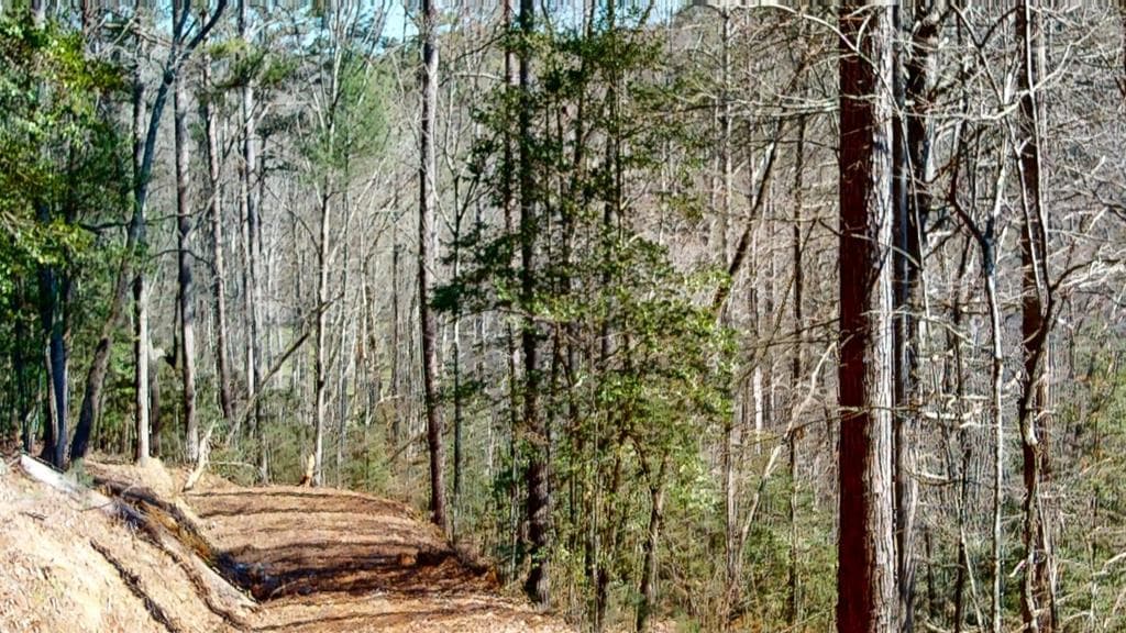 0 Red Oak Trail, Ellijay GA 30540 - Photo