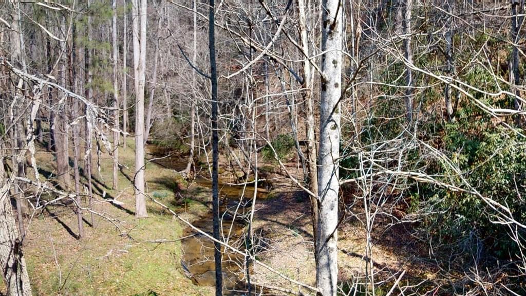 0 Red Oak Trail, Ellijay GA 30540 - Primary photo