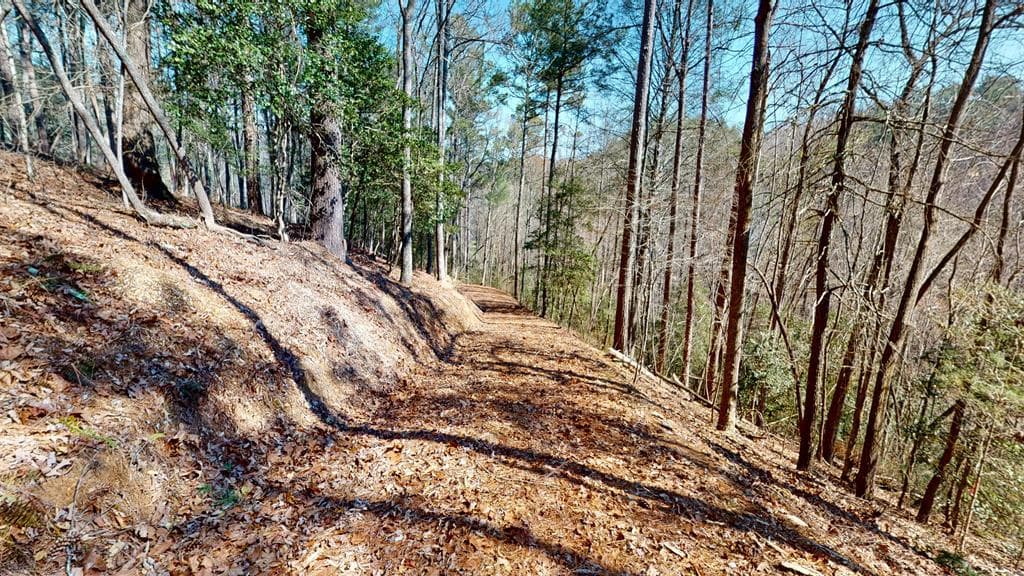 0 Red Oak Trail, Ellijay GA 30540 - Photo