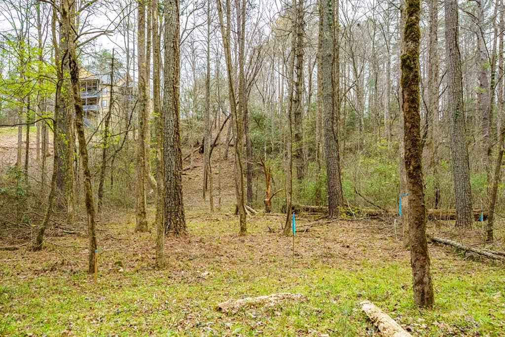 0 Red Oak Trail, Ellijay GA 30540 - Photo