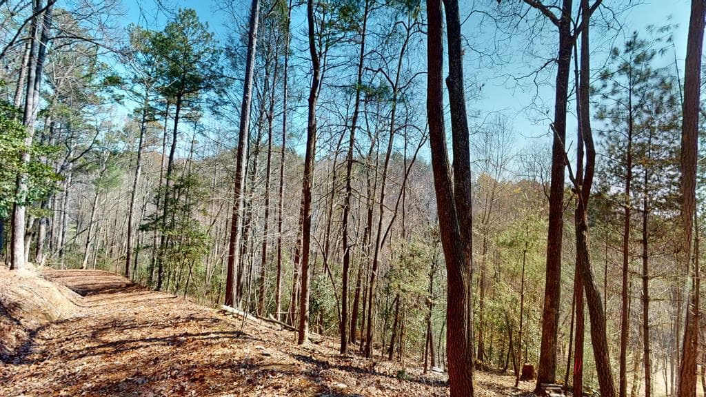 0 Red Oak Trail, Ellijay GA 30540 - Photo