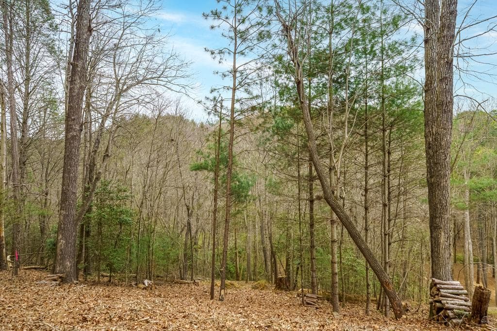 0 Red Oak Trail, Ellijay GA 30540 - Photo