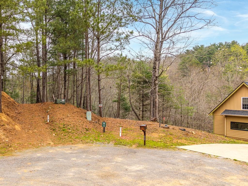 0 Red Oak Trail, Ellijay GA 30540 - Photo