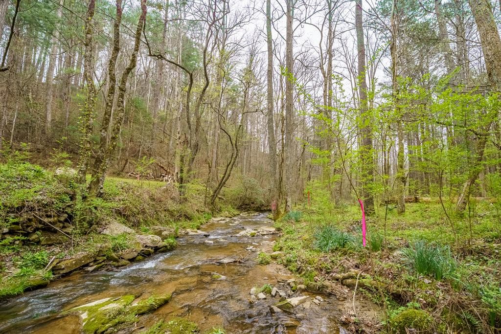 0 Red Oak Trail, Ellijay GA 30540 - Photo