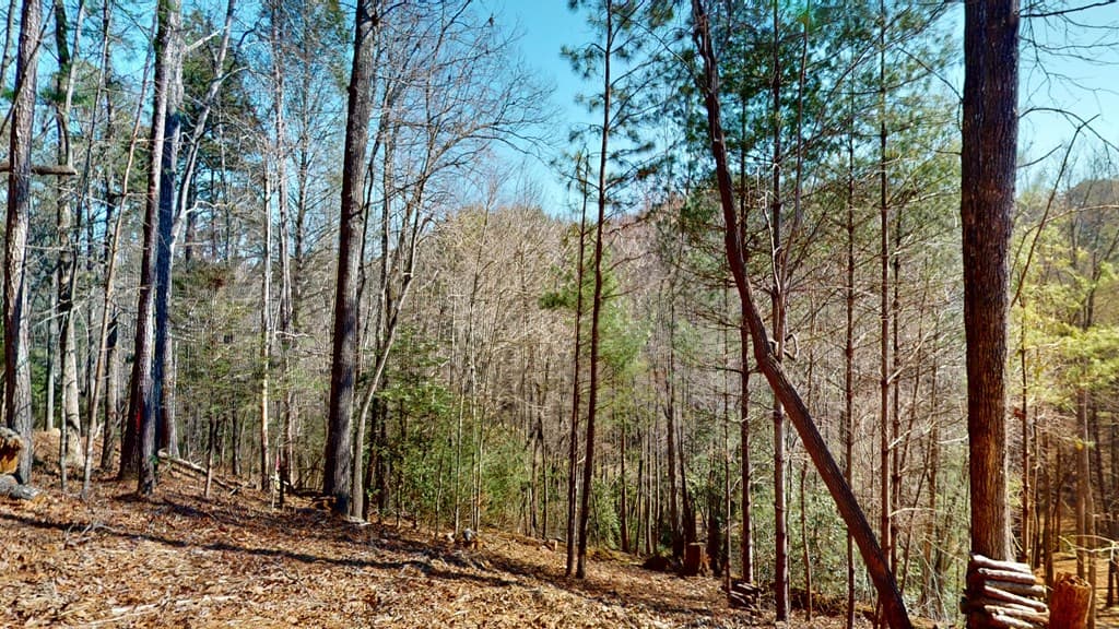 0 Red Oak Trail, Ellijay GA 30540 - Photo