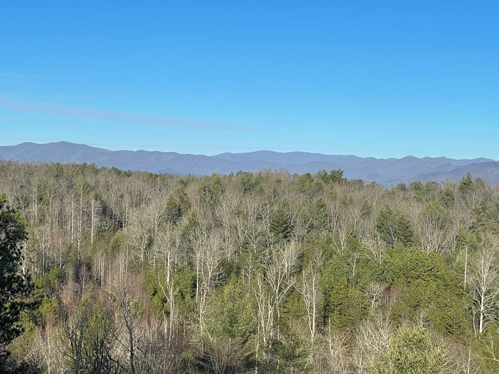 22 Hudson Springs Lane, Murphy NC 28906 - Photo