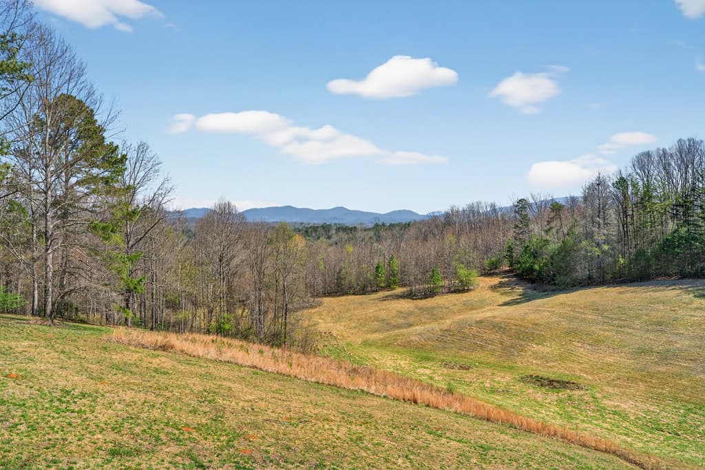 358 Old Jones Road, Ellijay GA 30540 - Photo