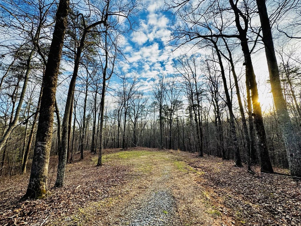 287 Lookout Valley Trail, Talking Rock GA 30175 - Photo