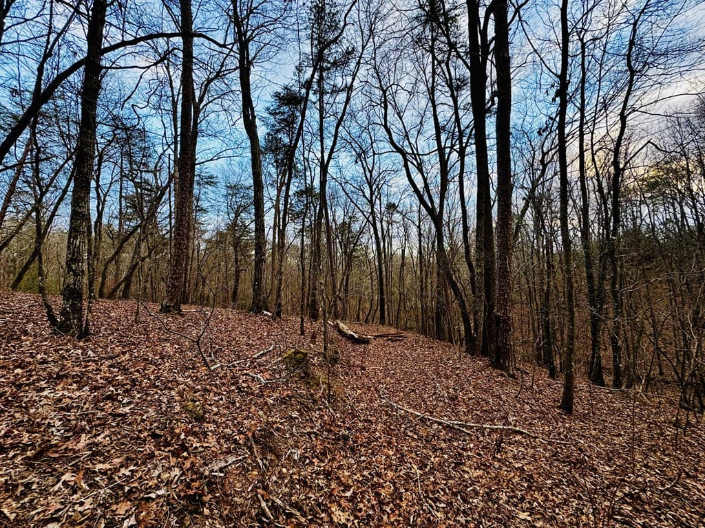 287 Lookout Valley Trail, Talking Rock GA 30175 - Photo