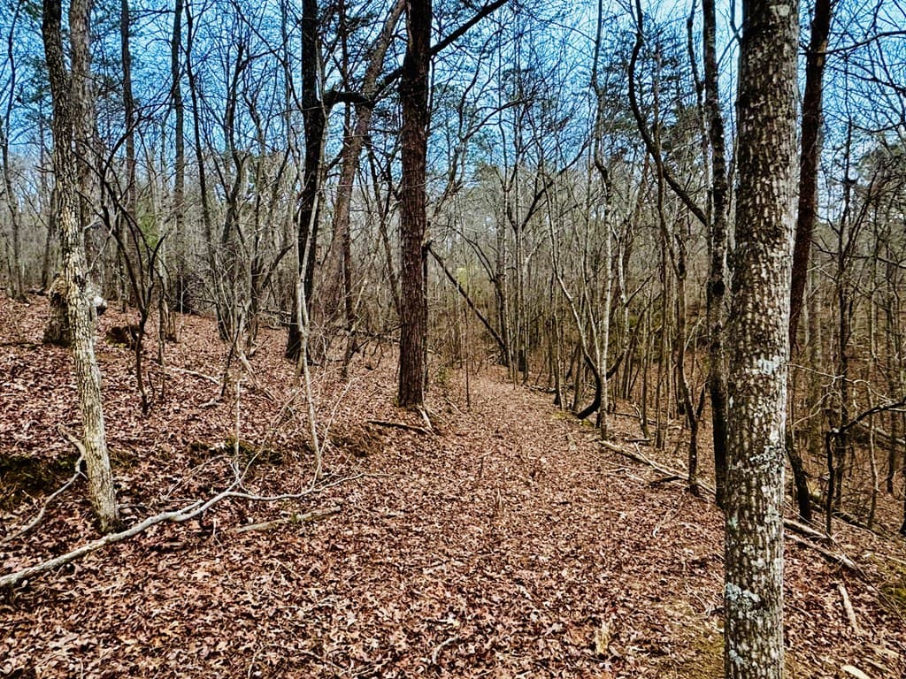 287 Lookout Valley Trail, Talking Rock GA 30175 - Photo