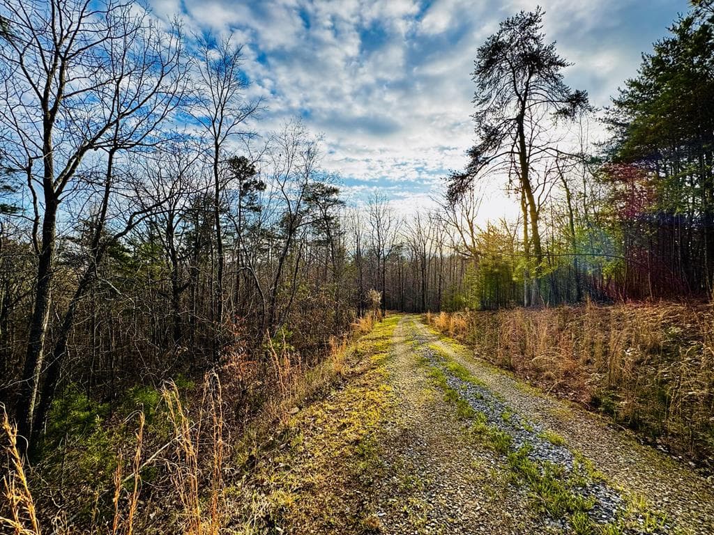 287 Lookout Valley Trail, Talking Rock GA 30175 - Primary photo
