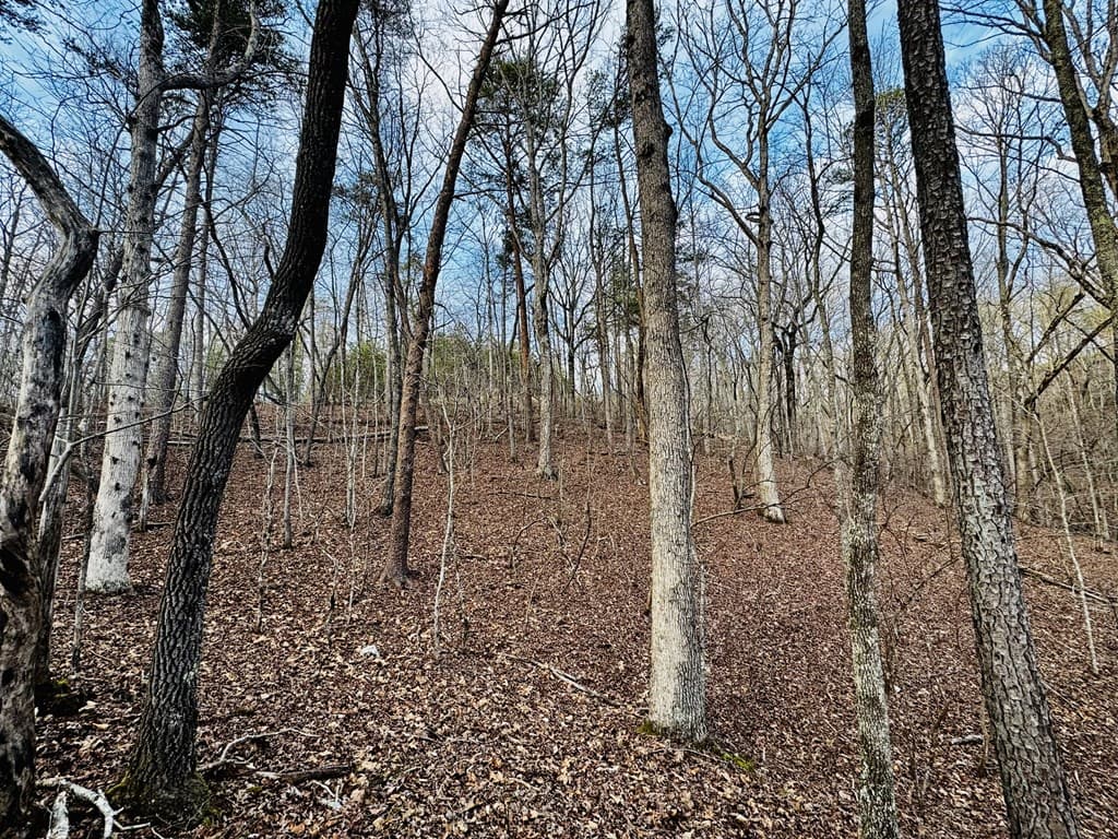 287 Lookout Valley Trail, Talking Rock GA 30175 - Photo