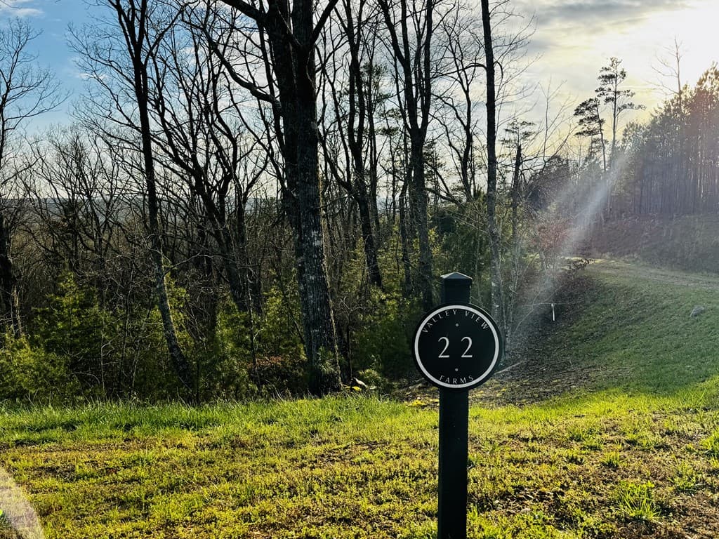 287 Lookout Valley Trail, Talking Rock GA 30175 - Photo