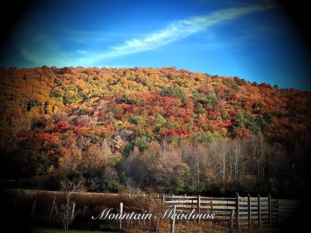 32 Mountain Meadows Drive, Hayesville NC 28904 - Photo