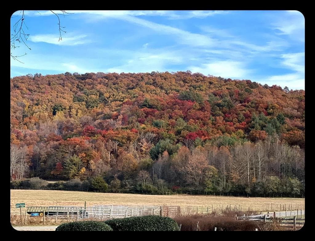 32 Mountain Meadows Drive, Hayesville NC 28904 - Photo