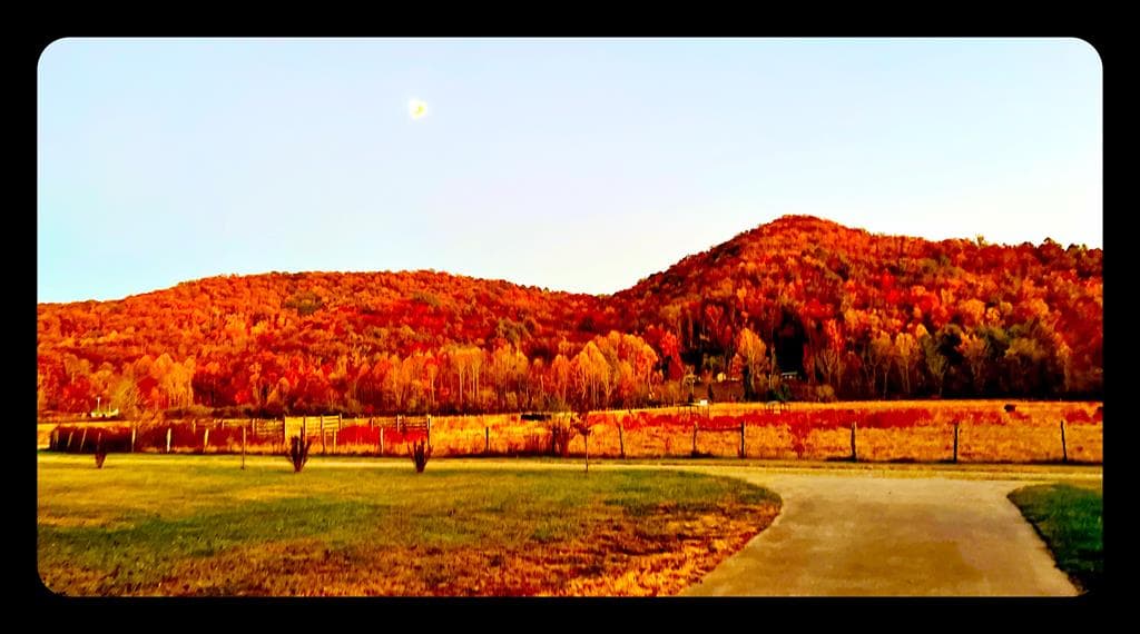 32 Mountain Meadows Drive, Hayesville NC 28904 - Photo