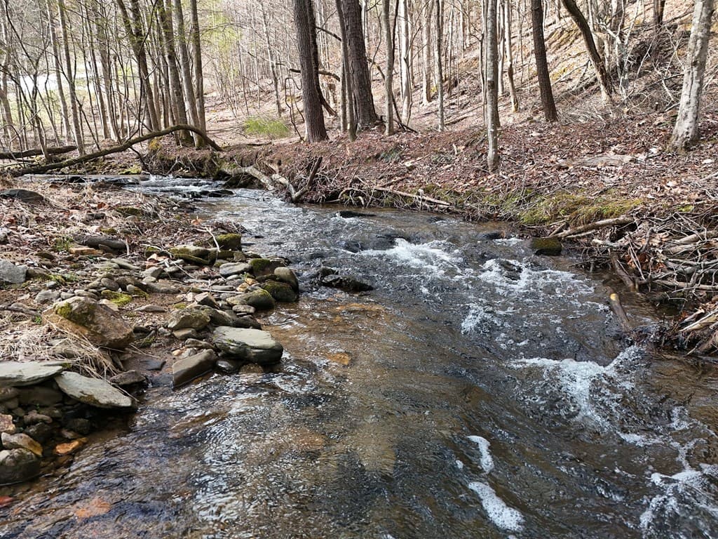 Tract 3 Whippoorwill Way, Blairsville GA 30512 - Photo