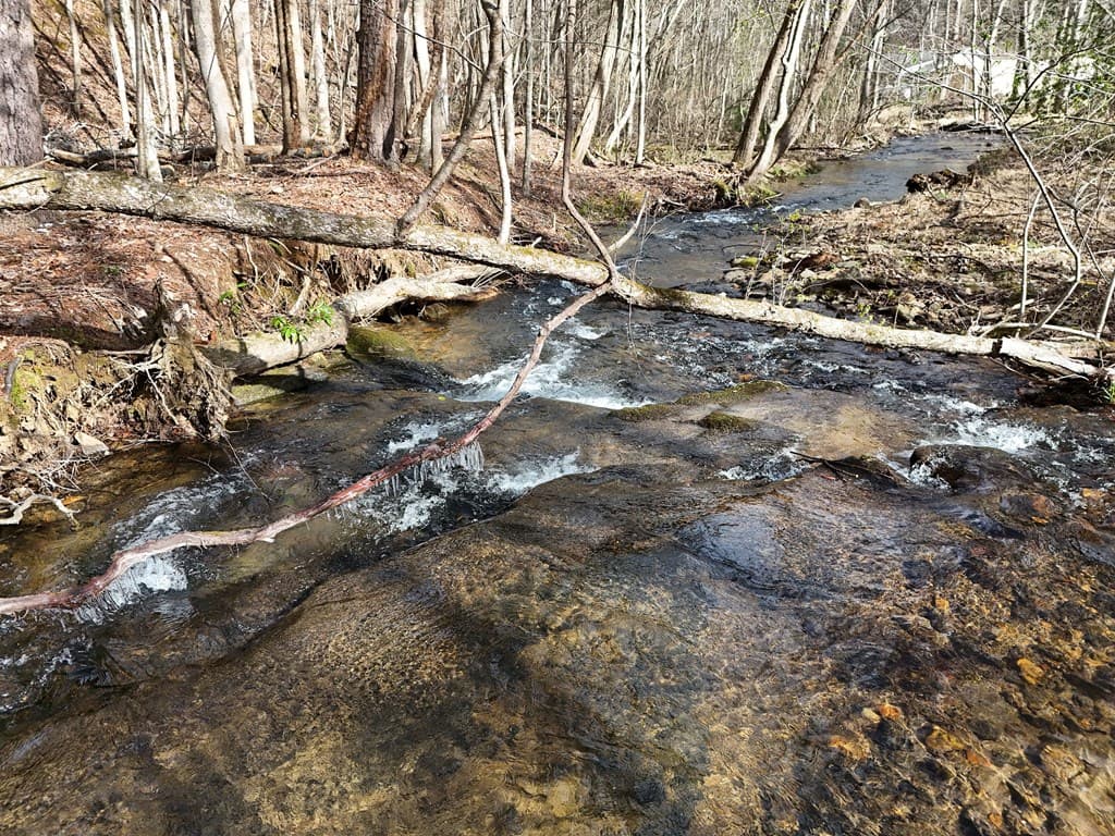Tract 3 Whippoorwill Way, Blairsville GA 30512 - Photo