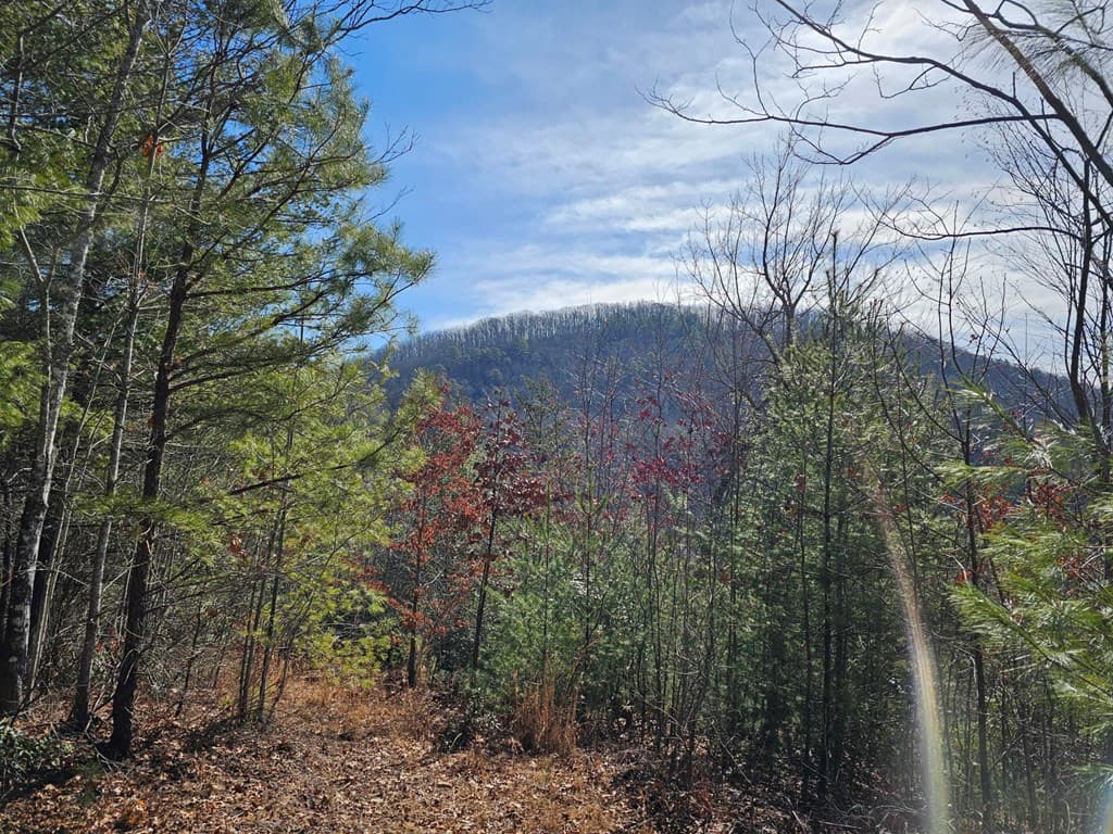 51 Kudzu Creek Trail, Murphy NC 28906 - Photo